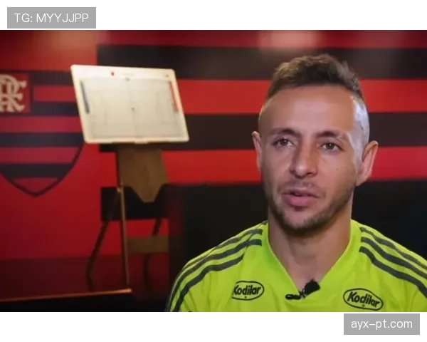 拉菲尼亚终结效率与关键战稳定性解析