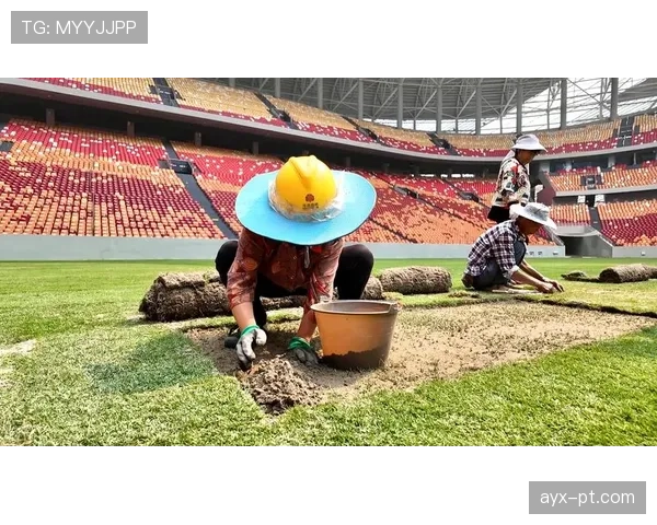 2026世界杯草坪标准规则有哪些